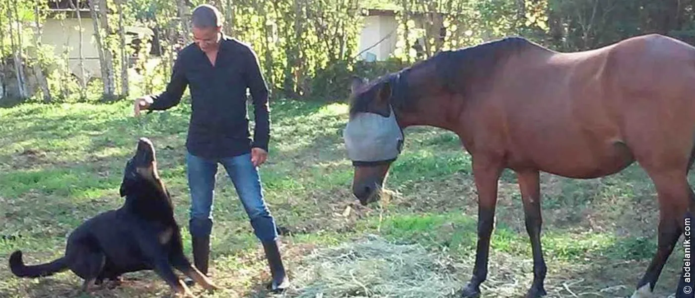 Coach de Vie : Abdel Anik